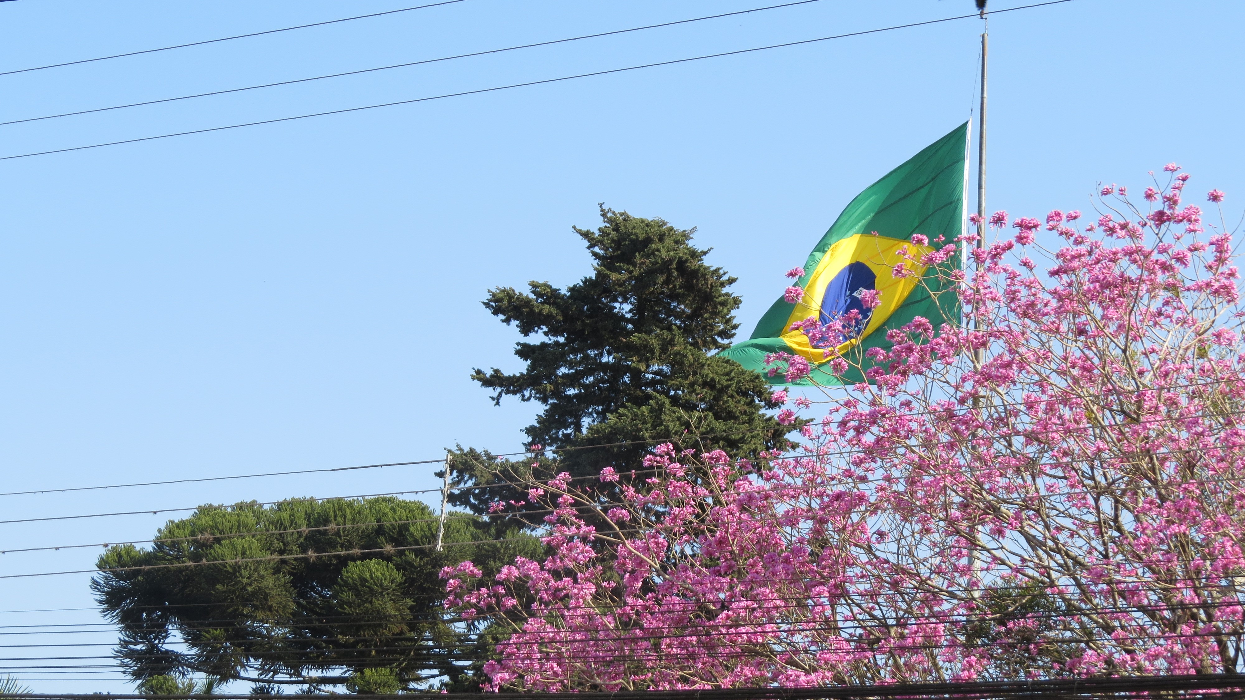 Jornal Bom Dia | Notícias | Notícias: semana-da -patria-homenageia-os-200-anos-da-independencia-do-brasil